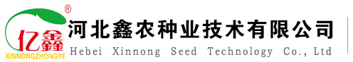 溫州專(zhuān)業(yè)生產(chǎn)復(fù)合機(jī)廠家